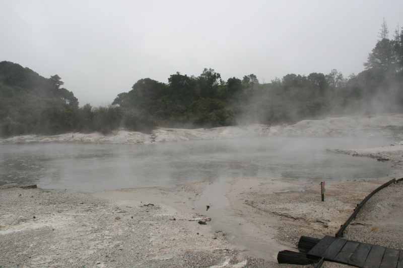 Nieuw-Zeeland 2011 - 0603